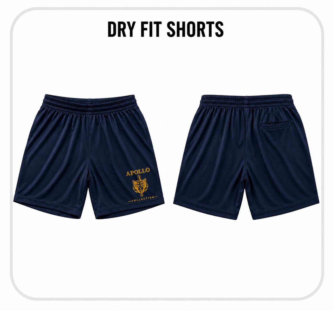 Dry Fit Shorts